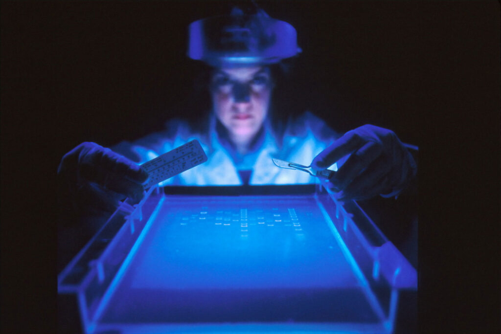 Investigadora trabajando con gel de electroforesis bajo luz ultravioleta en laboratorio biomolecular